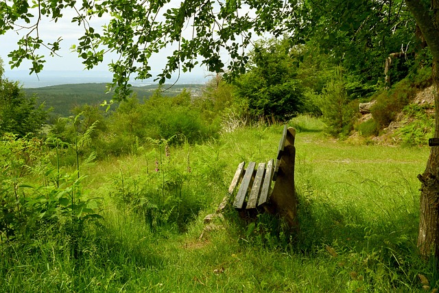 接未来的挑 接未来的挑