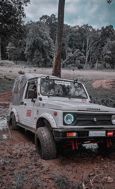 現出令人驚 現出令人驚