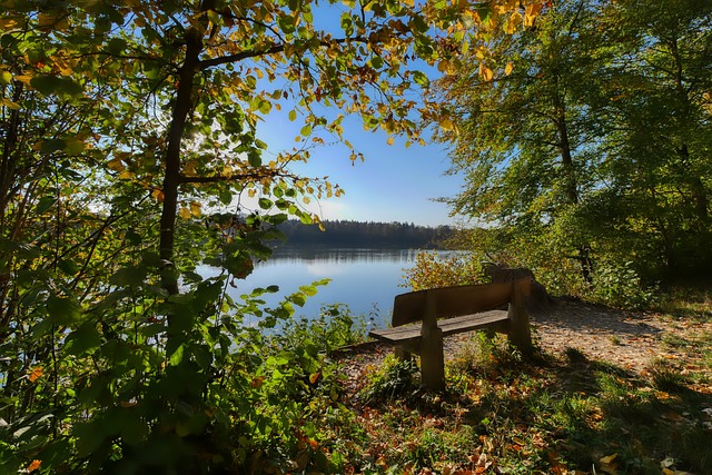 发挥和超强 发挥和超强