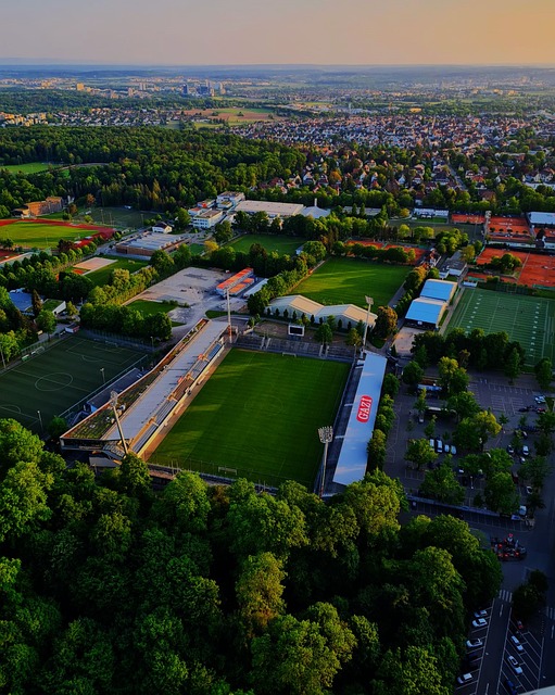 靈動的進攻 靈動的進攻