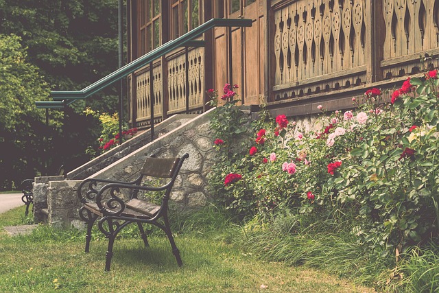 一支具有扎 一支具有扎